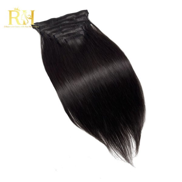 clip-in-raw-sea-straight-natural-color-rawhairluxury