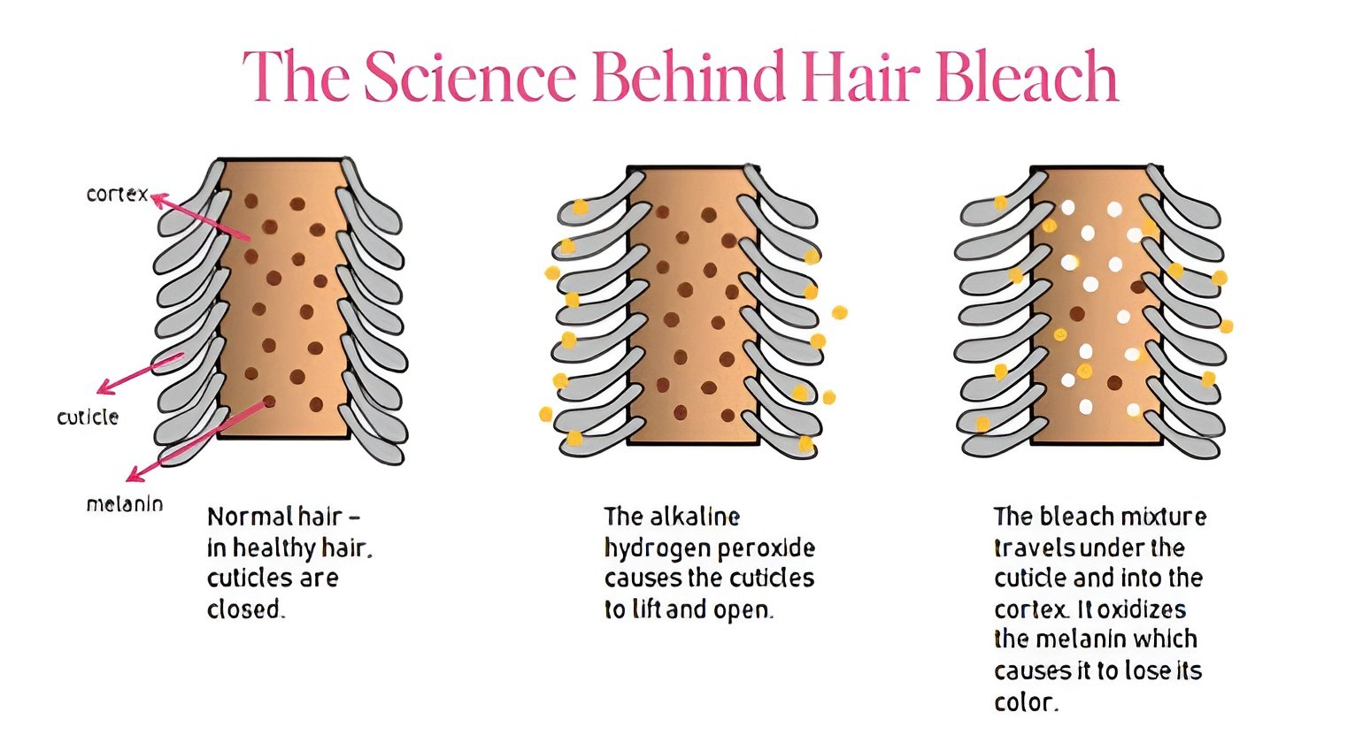 Understanding the Science Behind Hair Bleaching