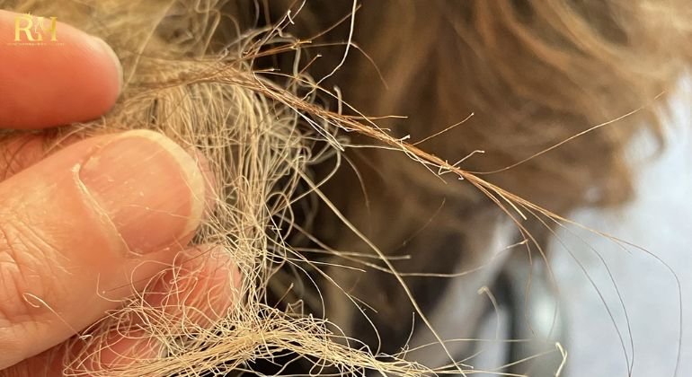 Cold weather hair damage what it does to the hair shaft