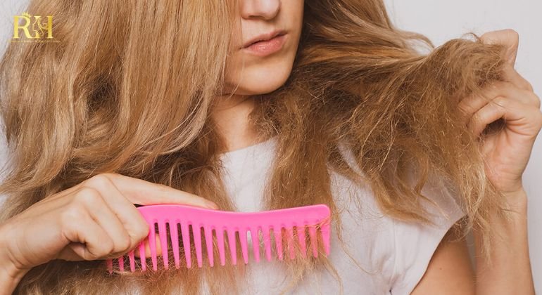 The Hair Feels Dry, Rough, or Brittle